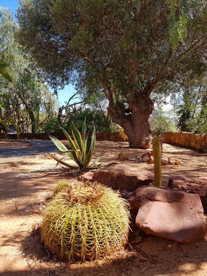 Gato Preto De Silves - Adults Only Bed & Breakfast Exterior photo